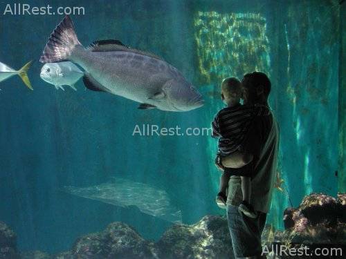 The Reefs 39